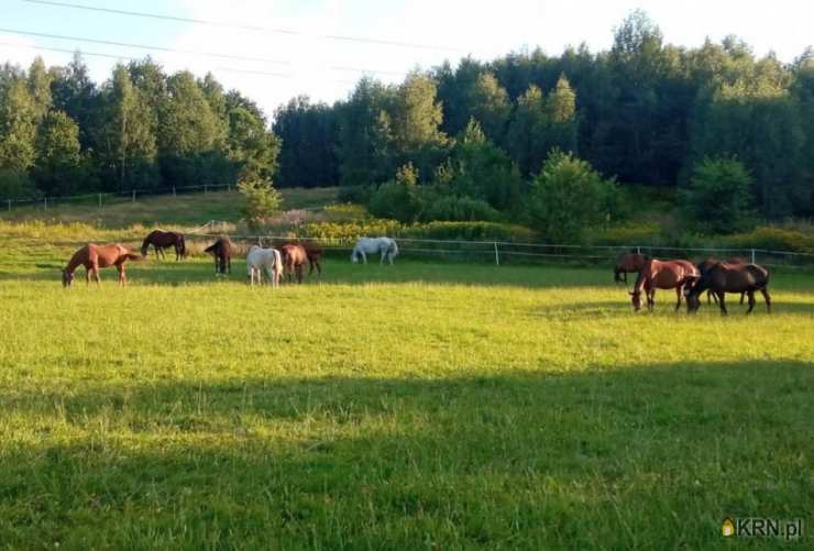 Zakliczyn, ul. , Dom  na sprzedaż, 2 pokojowe