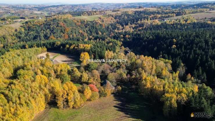 Dom  na sprzedaż, Rzepiennik Strzyżewski, ul. , 