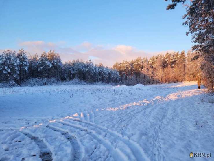 Dom  na sprzedaż, Stara Dąbrowa, ul. , 4 pokojowe