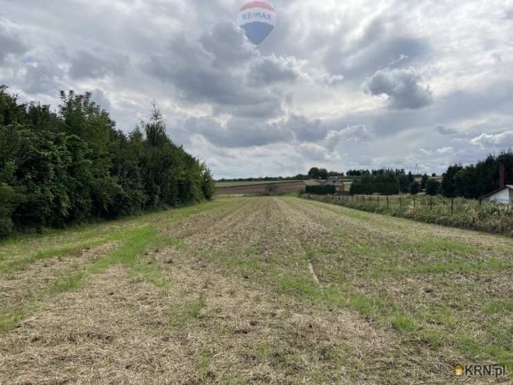 Ćmielów, ul. , Dom  na sprzedaż, 5 pokojowe