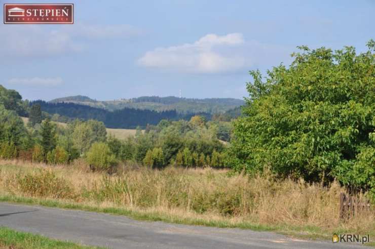 ABN Stępień Nieruchomości , Dom  na sprzedaż, Kaczorów, ul. 