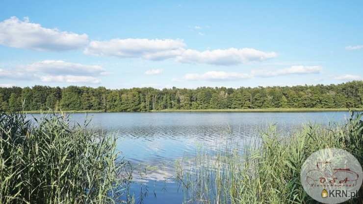 Dom  na sprzedaż, Dymaczewo Nowe, ul. , 2 pokojowe