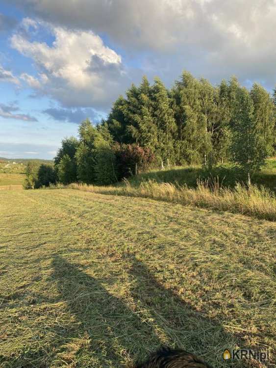 3 pokojowe, Chmielno, ul. , Dom  na sprzedaż