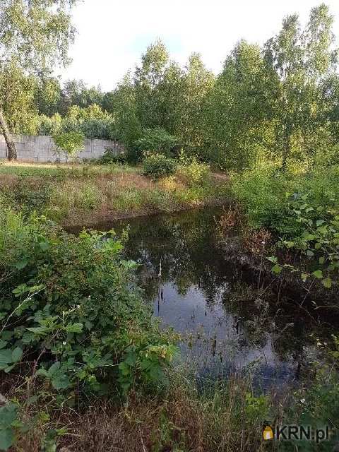 Lipno, ul. , Dom  na sprzedaż, 10 pokojowe