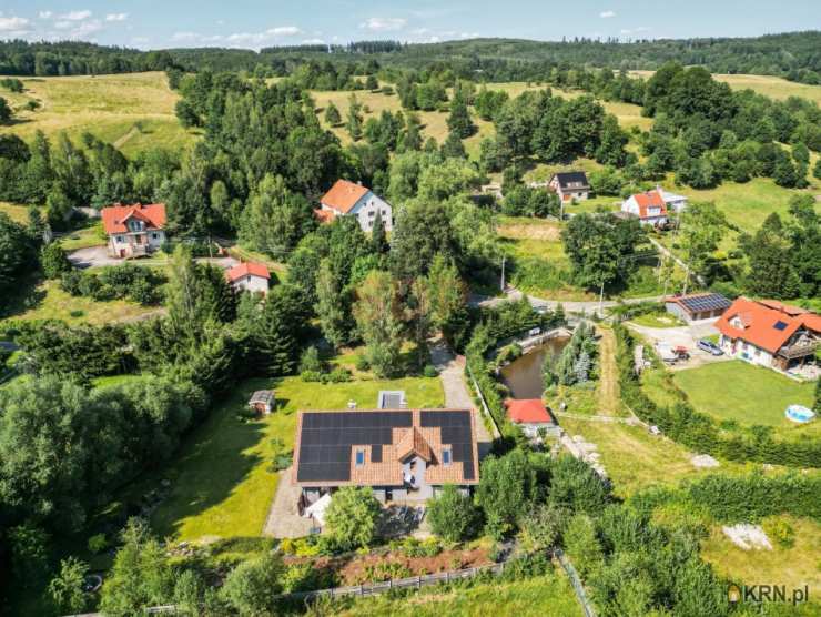 Zagórze Śląskie, ul. M. Drzymały, 7 pokojowe, Dom  na sprzedaż