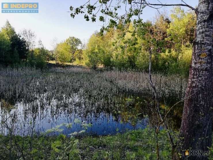 Dom  na sprzedaż, 8 pokojowe, Chotyłów, ul. 