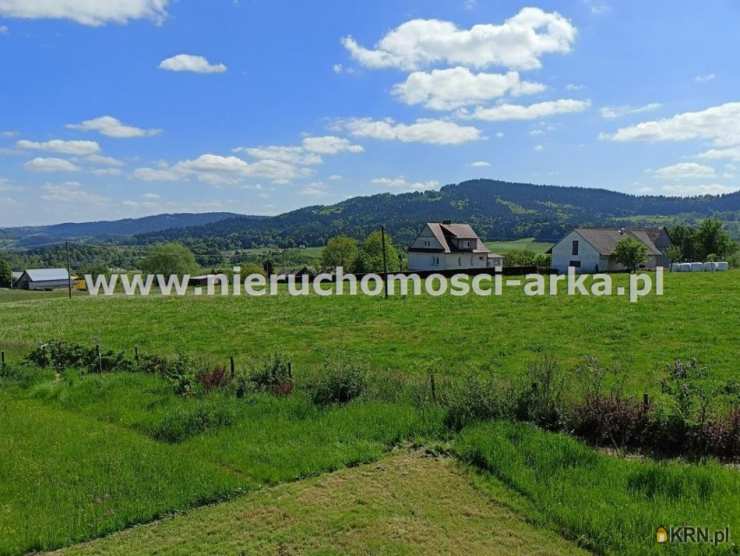 Biuro Nieruchomości ARKA, Dom  na sprzedaż, Limanowa, ul. 