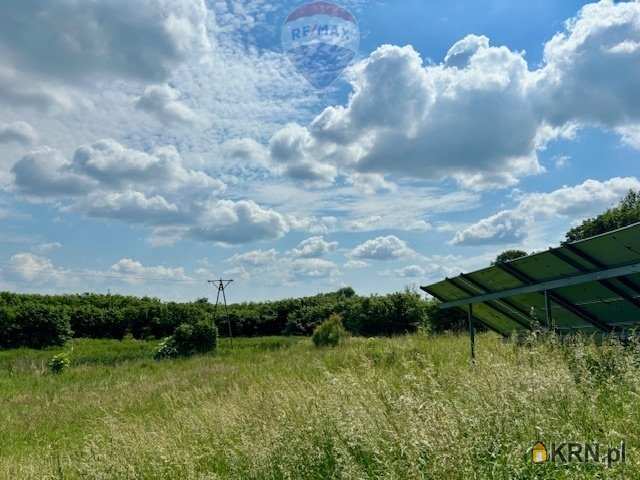 12 pokojowe, Barłożno, ul. , Dom  na sprzedaż