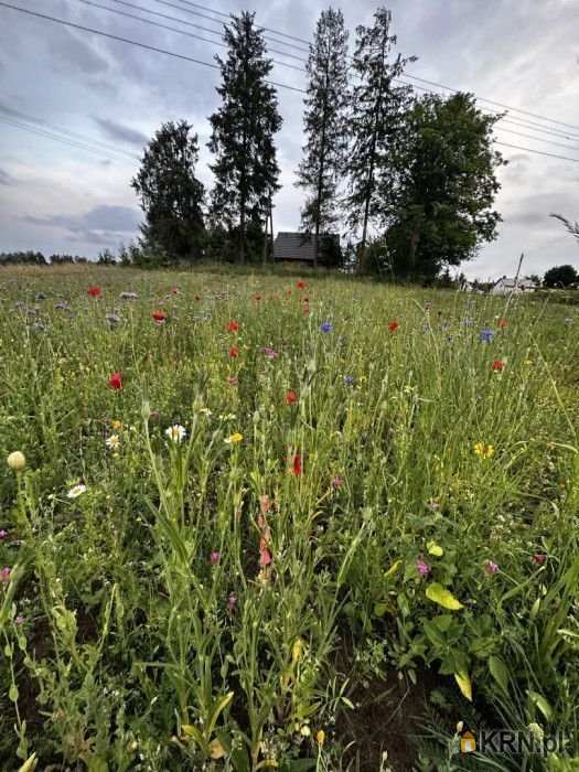 3 pokojowe, Smętowo Chmieleńskie, Szrotowo, ul. Polna, Dom  na sprzedaż