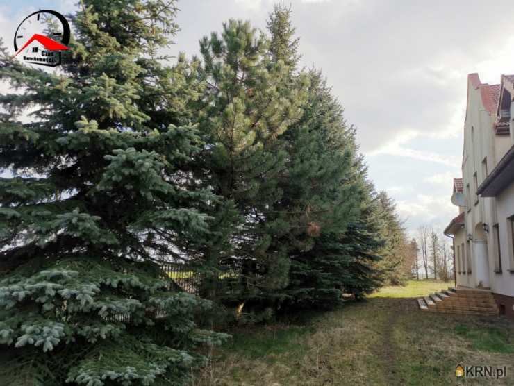 Kolonia Bodzanowska, ul. , 16 pokojowe, Dom  na sprzedaż