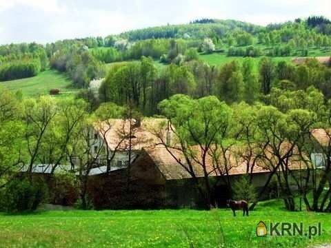 Dom  na sprzedaż, 13 pokojowe, Olszyniec, ul. 