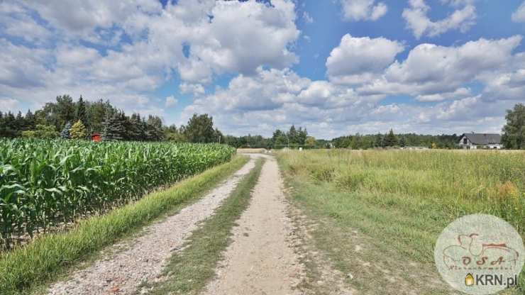 4 pokojowe, Dom  na sprzedaż, Stęszew, ul. 