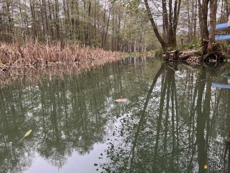 Dom  na sprzedaż, Borowe, ul. , 3 pokojowe