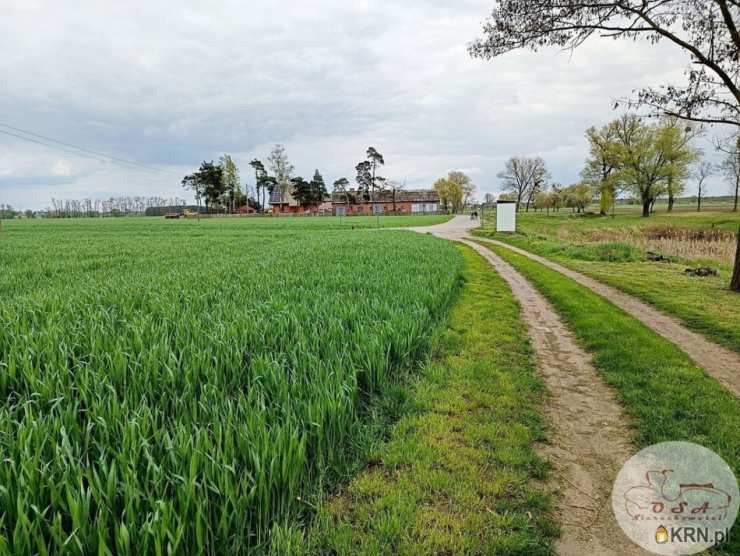 3 pokojowe, Dom  na sprzedaż, Pietrzyków-Kolonia, ul. 