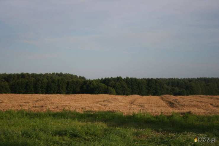 Działki  na sprzedaż, Kaszczor, ul. , 