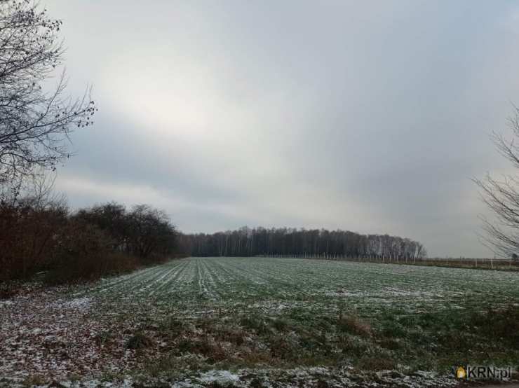 Działki  na sprzedaż, , Puławy, os. Podlesie, ul. 