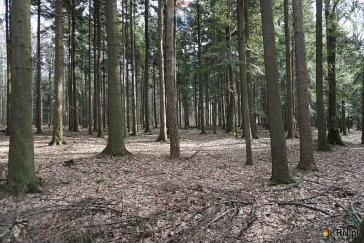 Budzów, ul. , , Działki  na sprzedaż