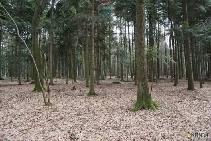 Działki  na sprzedaż, Budzów, ul. , 