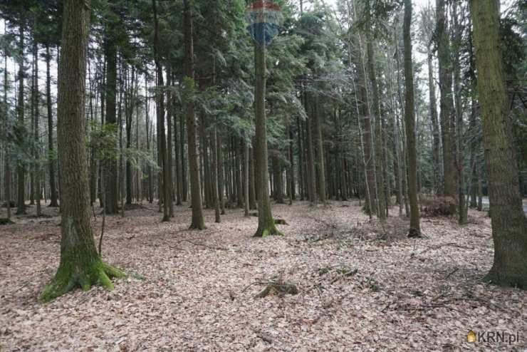 Budzów, ul. , Działki  na sprzedaż, 