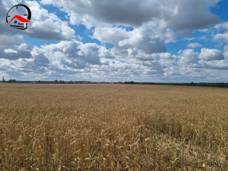 Działki  na sprzedaż, Barcin, ul. , 