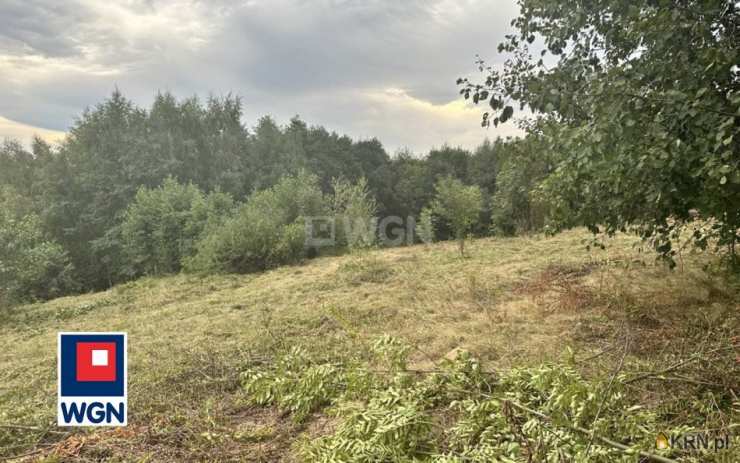 Chmielnik, ul. , Działki  na sprzedaż, 