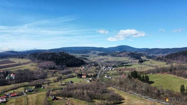 Działki  na sprzedaż, , Pisarzowice, ul. 