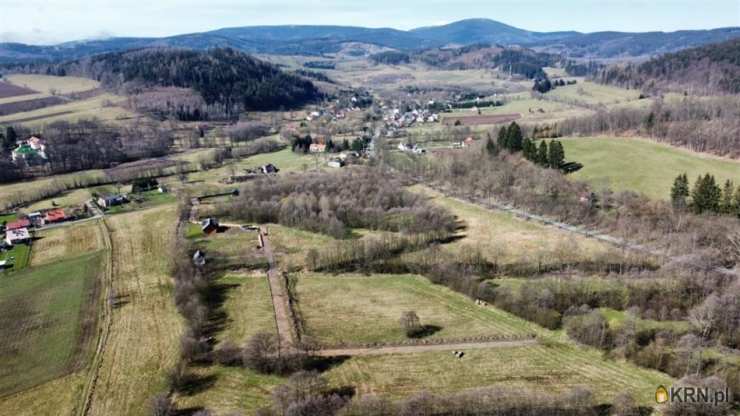 , Działki  na sprzedaż, Pisarzowice, ul. 