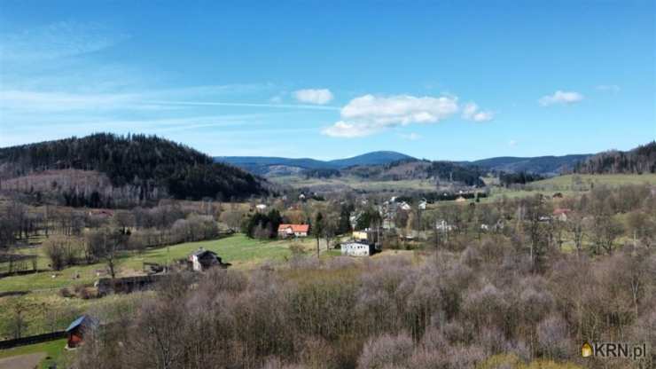 Biuro Nieruchomości SOWA, Działki  na sprzedaż, Pisarzowice, ul. 