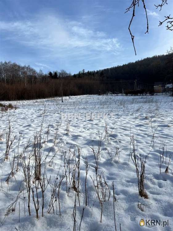 Działki, Bielsko-Biała, Kamienica