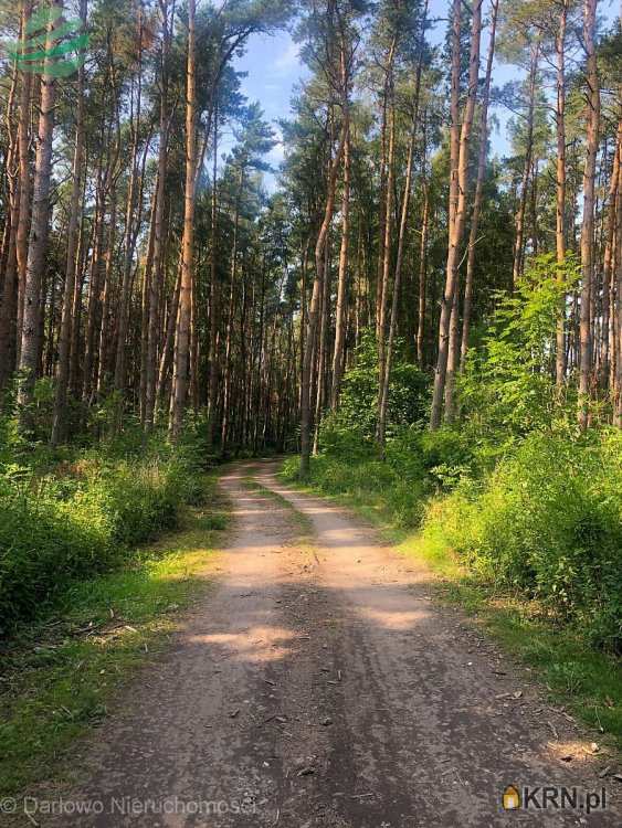 Działki  na sprzedaż, Rusinowo, ul. , 