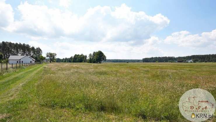 , Chojno-Błota Małe, ul. , Działki  na sprzedaż