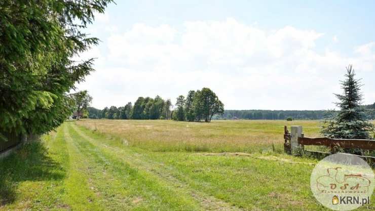 Działki  na sprzedaż, Chojno-Błota Małe, ul. , 