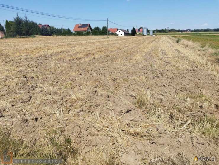 Sieciechowice, ul. , , Działki  na sprzedaż