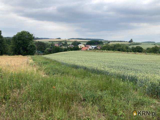 Działki  na sprzedaż, Taczów Wielki, ul. , 