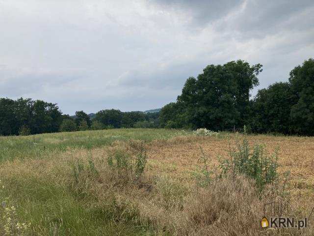 Taczów Wielki, ul. , Działki  na sprzedaż, 