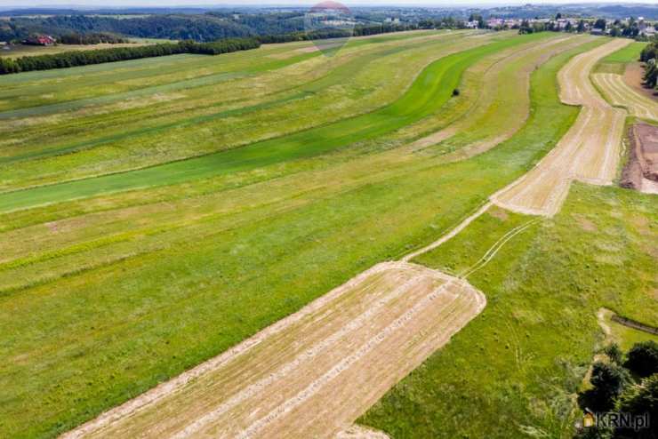 RE/MAX Polska, Działki  na sprzedaż, Wola Kalinowska, ul. 