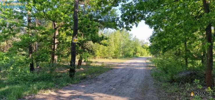 , Działki  na sprzedaż, Okuniew, ul. 