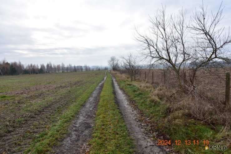 Syców, ul. , Działki  na sprzedaż, 