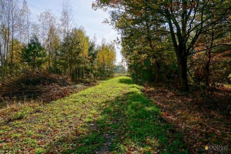 Działki  na sprzedaż, Puszcza Mariańska, ul. , 