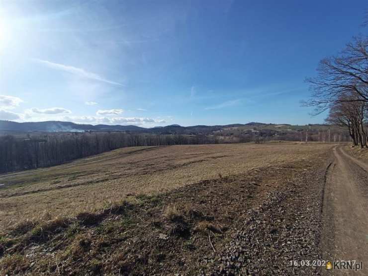 Działki  na sprzedaż, Dziećmorowice, ul. , 