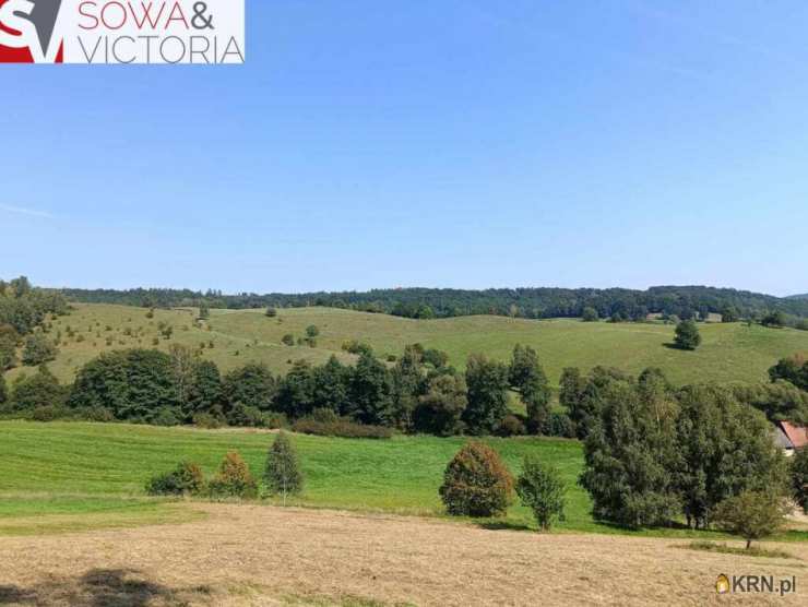 Działki  na sprzedaż, Zagórze Śląskie, ul. , 