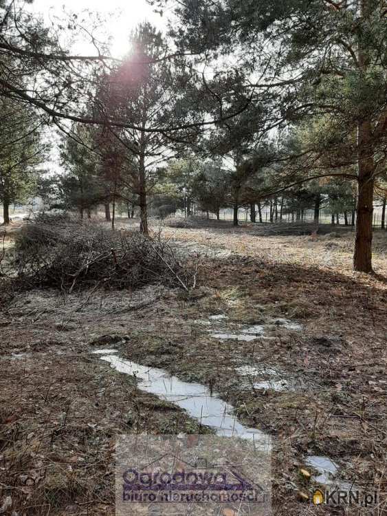 Nowy Prażmów, ul. , , Działki  na sprzedaż