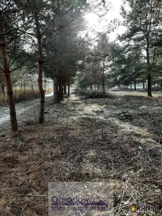 Nowy Prażmów, ul. , Działki  na sprzedaż, 