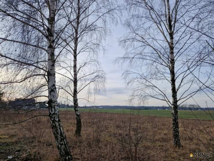 OdWlasciciela.pl, Działki  na sprzedaż, Rokocin, ul. Pogodna