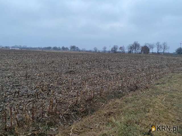 Ciechocinek, ul. , , Działki  na sprzedaż