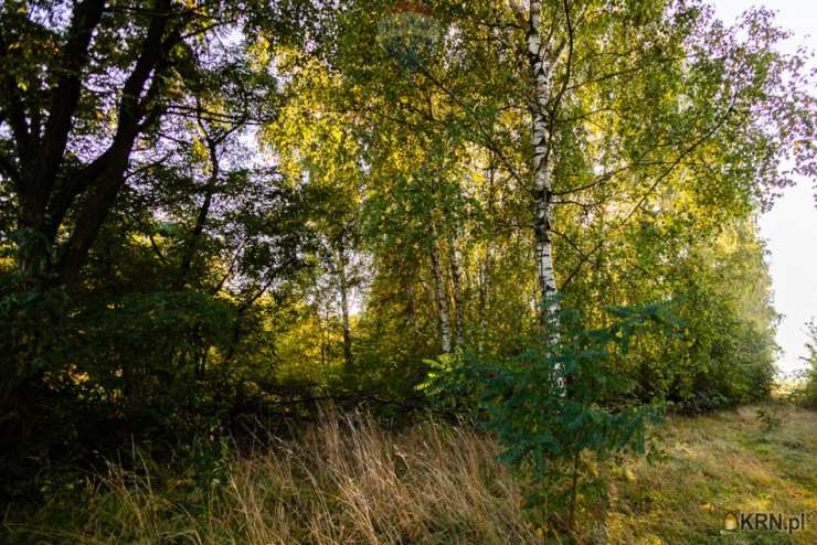 Łódź, Polesie, ul. , , Działki  na sprzedaż