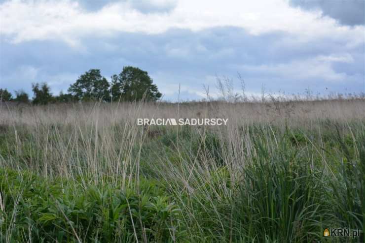 BRACIA SADURSCY NIERUCHOMOŚCI ODDZIAŁ BS5 NOWA HUTA, Działki  na sprzedaż, Glewiec, ul. 