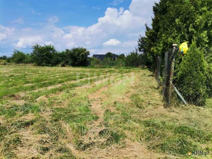 Działki  na sprzedaż, Jędrzychów, ul. , 