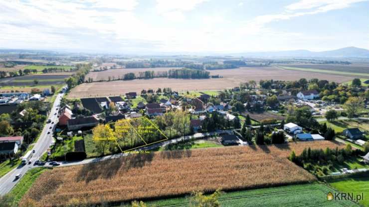 Działki  na sprzedaż, Cieszyce, ul. Kasztanowa, 