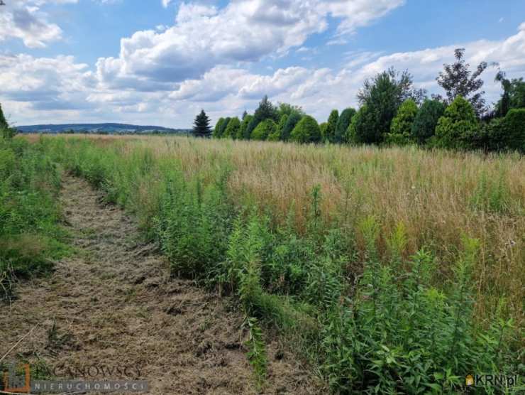 Działki  na sprzedaż, , Wilków, ul. 